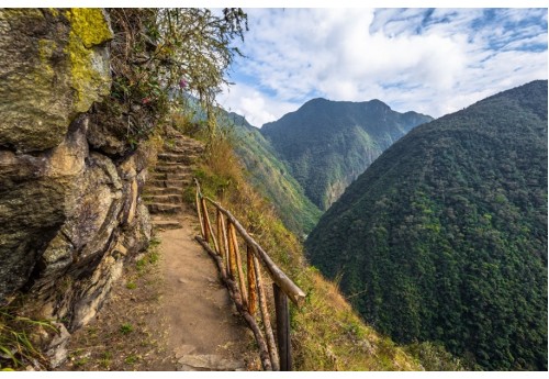 Camino Inca Inca Month Five Back Catalogue